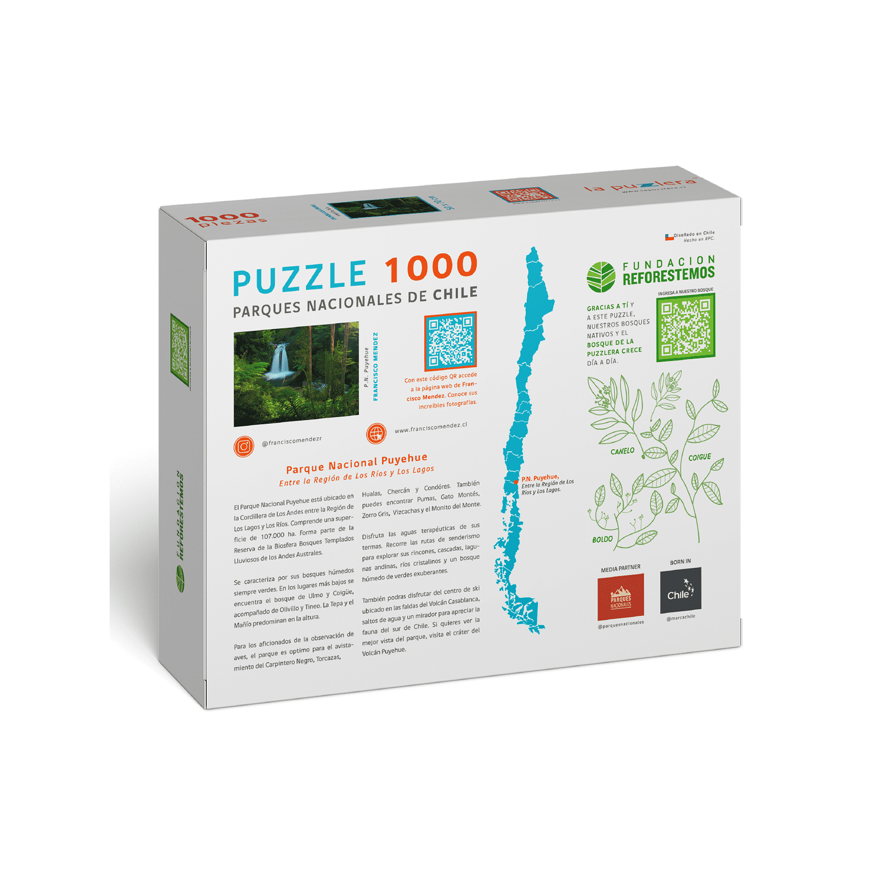 Puzzle Parque Nacional Puyehue 1000 Piezas