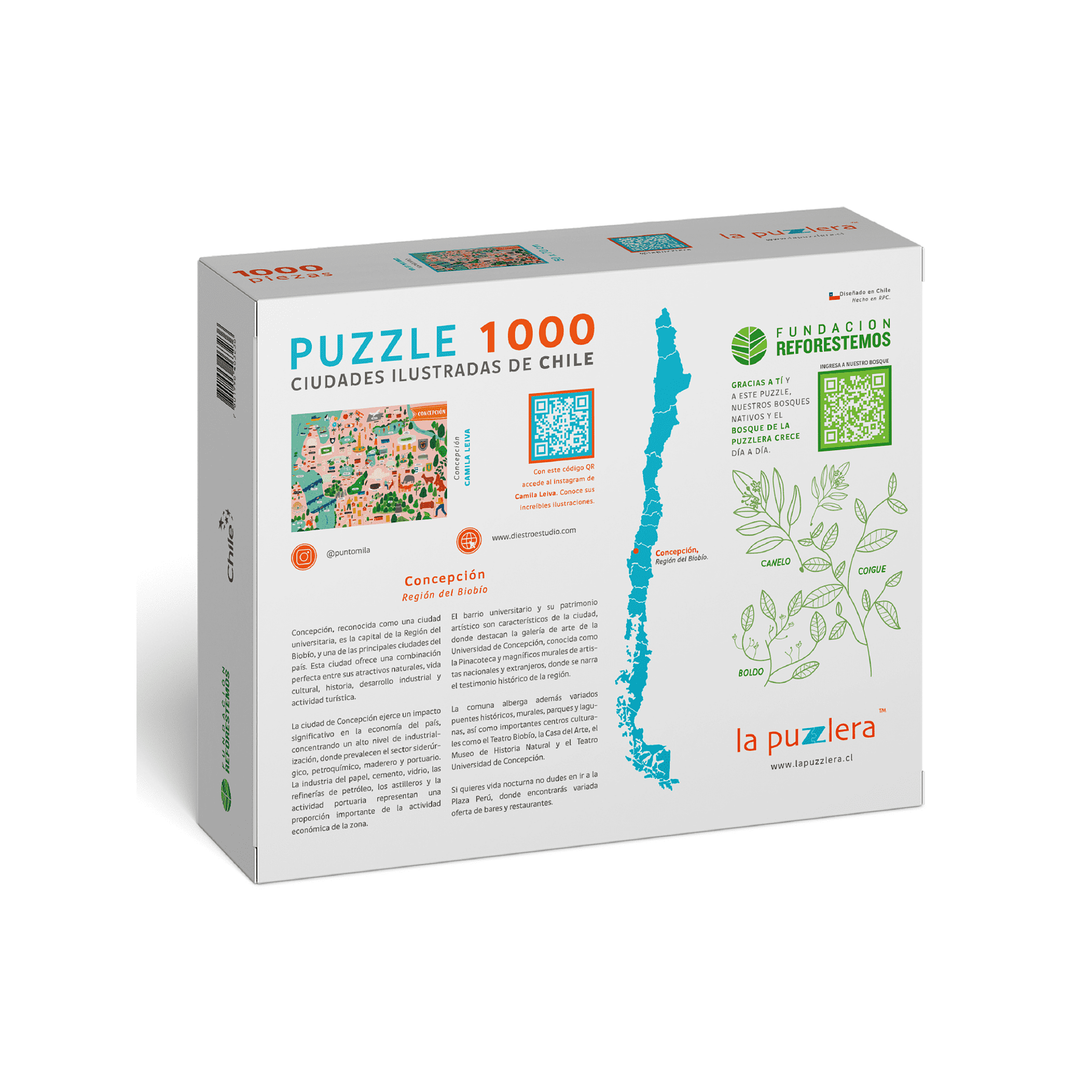 Puzzle Concepción 1000 Piezas