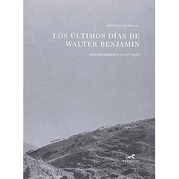 Los Ultimos Dias De Walter Benjamin