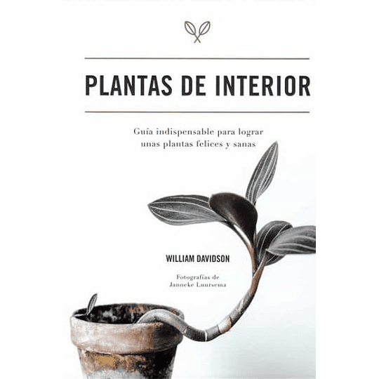 Plantas De Interior