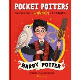 Pocket Potters: Harry Potter 