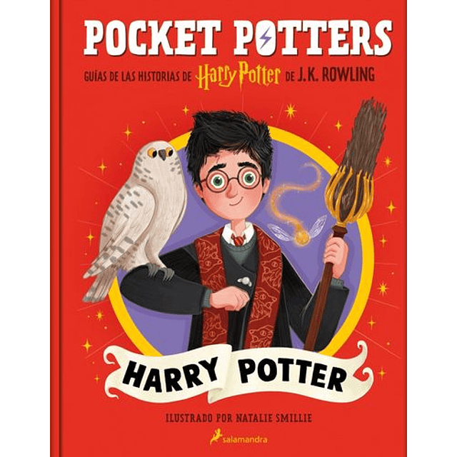 Pocket Potters: Harry Potter 