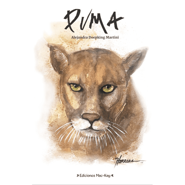 Puma
