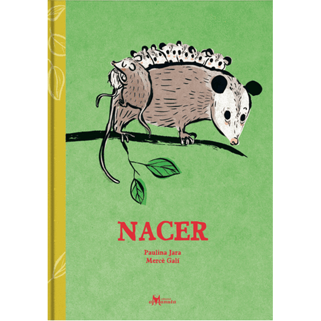 Nacer