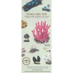 Funga Del Sur Visibles Entre El Bio Bio