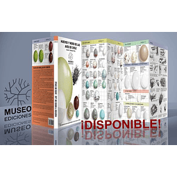 Huevos Y Nidos De Las Aves De Chile - Martínez Piña,  Daniel Eduardo