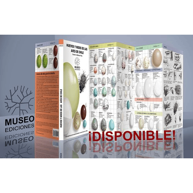 Huevos Y Nidos De Las Aves De Chile - Martínez Piña,  Daniel Eduardo