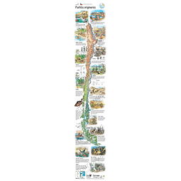 Mapa Pueblos Originarios Culturas Ancestrales 