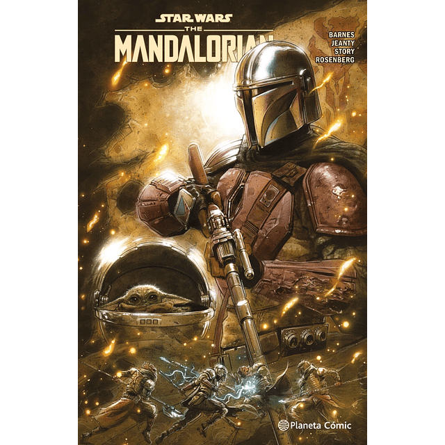Star Wars The Mandalorian