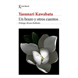 Brazo Y Otros Cuentos, Un