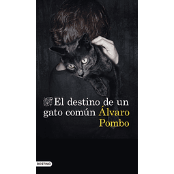 El Destino De Un Gato Comun