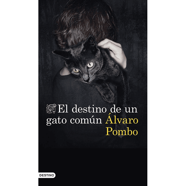 El Destino De Un Gato Comun