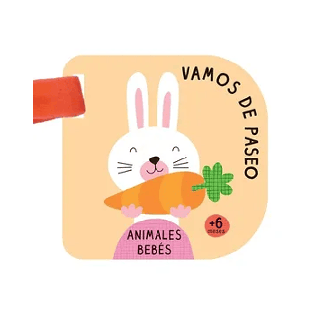 Vamos De Paseo - Animales