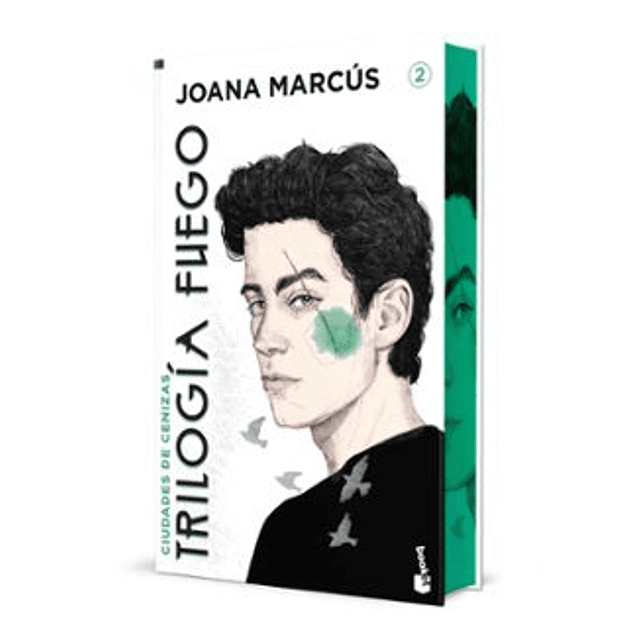 Ciudades De Cenizas. Edicion Especial Con Cantos Decorados