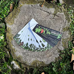 Pantonera Robles Del Sur Del Mundo 