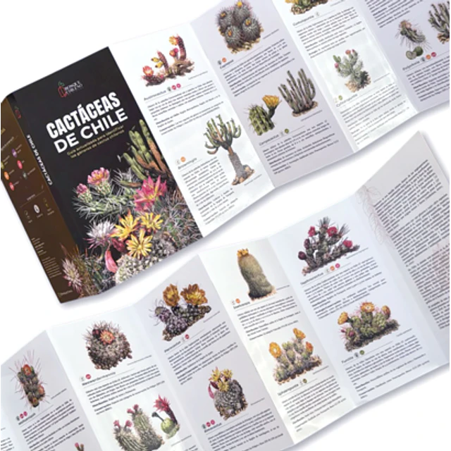Guia De Bolsillo - Cactaceas De Chile