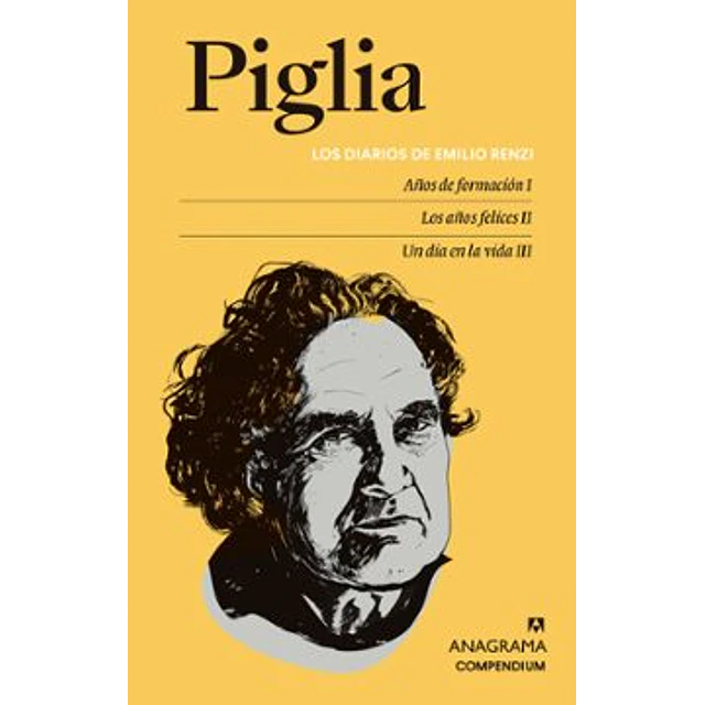 Los Diarios De Emilio Renzi