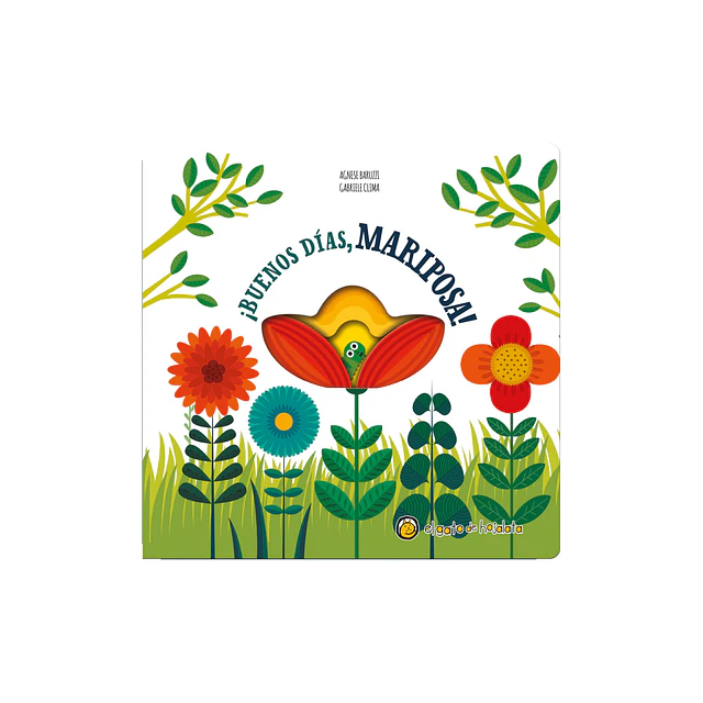 Buenos Dias Mariposa Pequeñas Historias