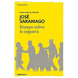 Ensayo Sobre La Ceguera