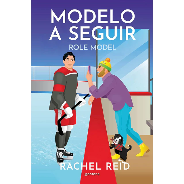 Modelo A Seguir