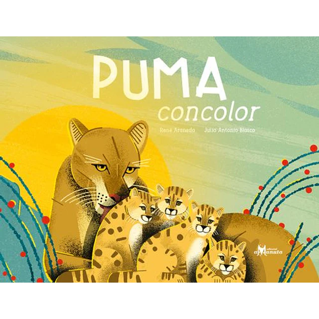 Puma Concolor