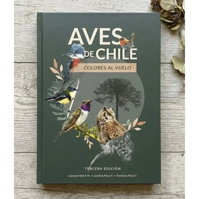 Aves De Chile Colores Al Vuelo