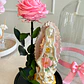 Encantada Bendita - Miniatura 3
