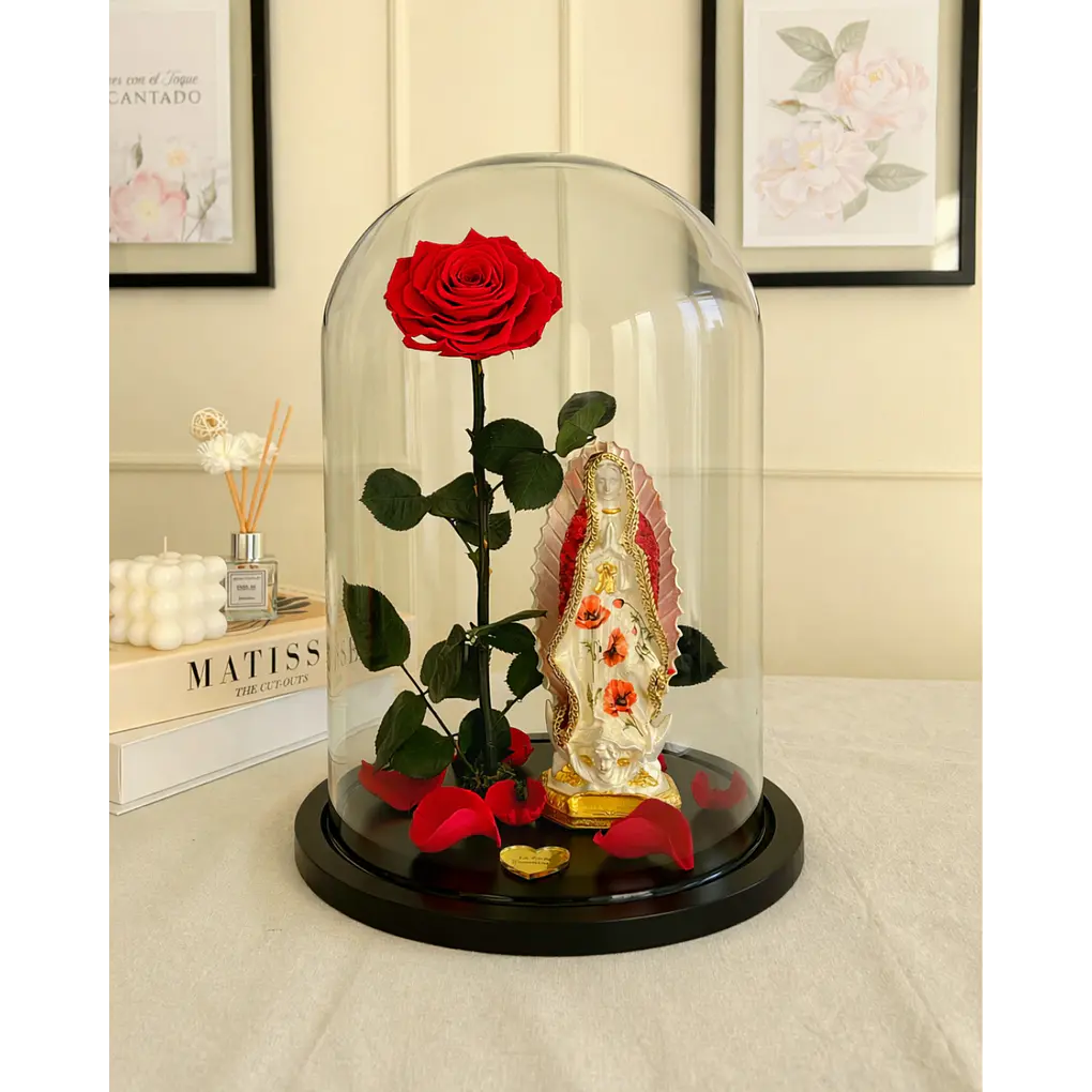 Jardín Por La Virgen 1