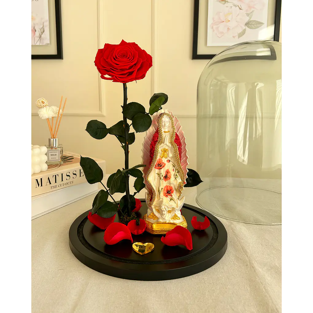 Jardín Por La Virgen 2