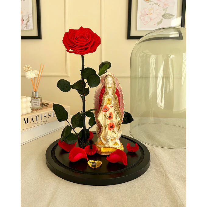 Jardín Por La Virgen 2