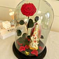 Jardín Por La Virgen - Miniatura 3