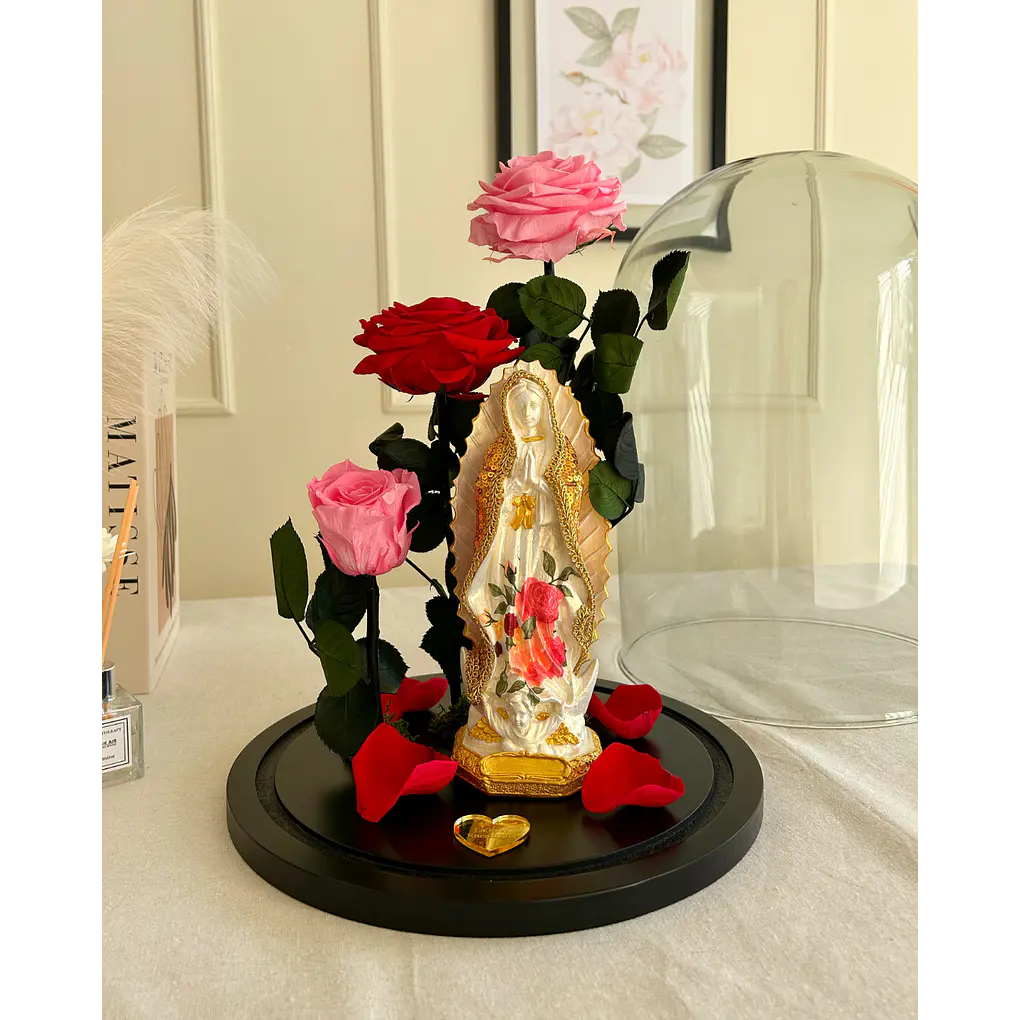 Jardín Por La Virgen Premium 2