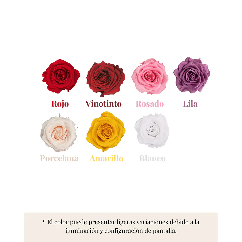 Jardín Por La Virgen Premium 4