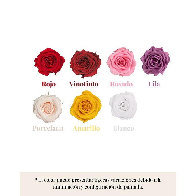 Jardín Por La Virgen Premium 4