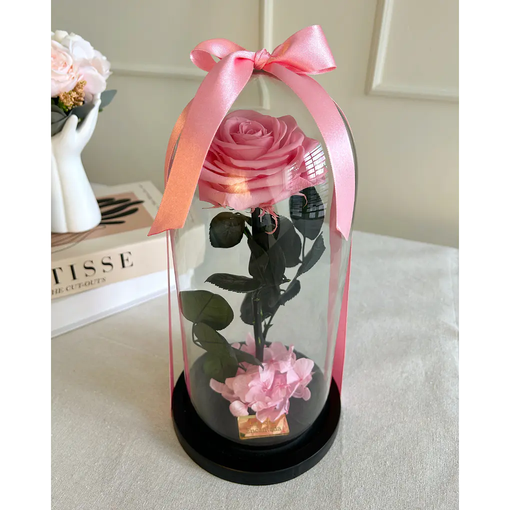 Rosa Encantada 2