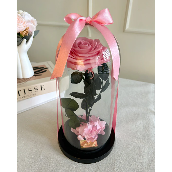 Rosa Encantada 2