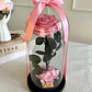 Rosa Encantada - Miniatura 2