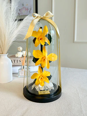 Orquídea Encantada