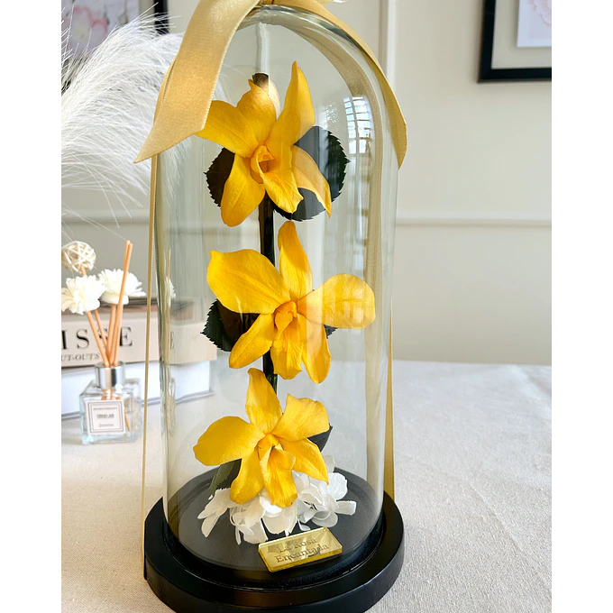 Orquídea Encantada 2