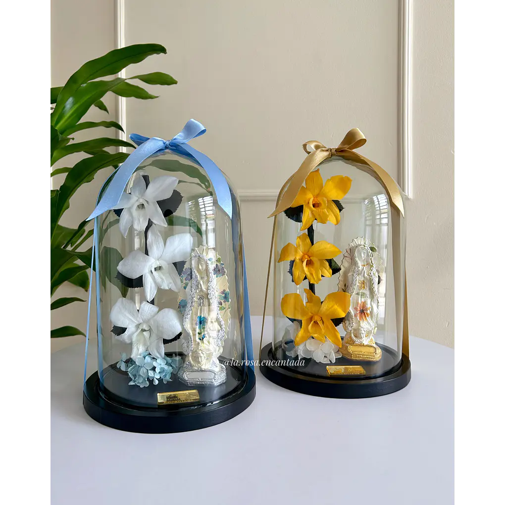 Orquídea Encantada con Virgen 4