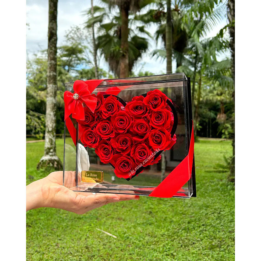 Corazón en Rosas Preservadas 2