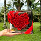 Corazón en Rosas Preservadas - Miniatura 2