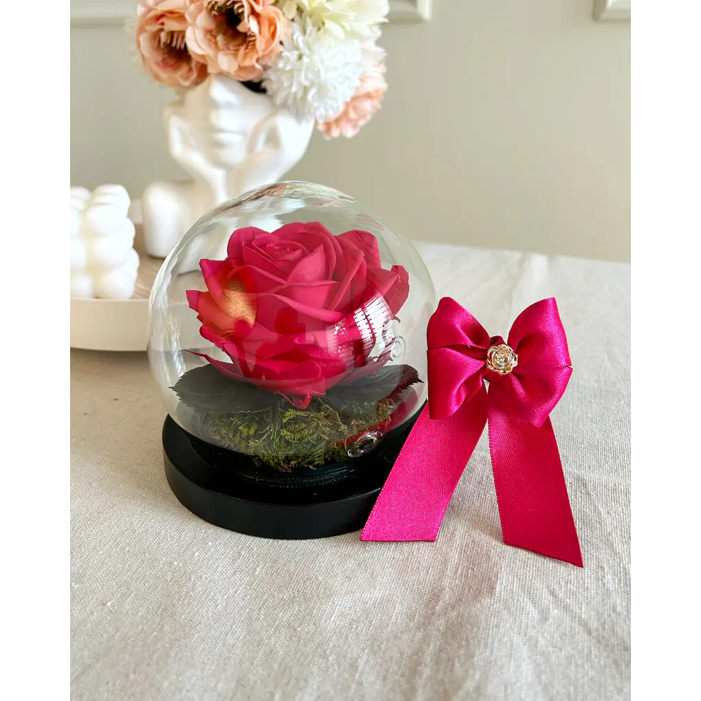 Burbuja de Cristal - Rosa Preservada 1