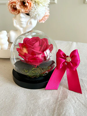 Burbuja de Cristal - Rosa Preservada