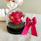 Burbuja de Cristal - Rosa Preservada - Miniatura 1