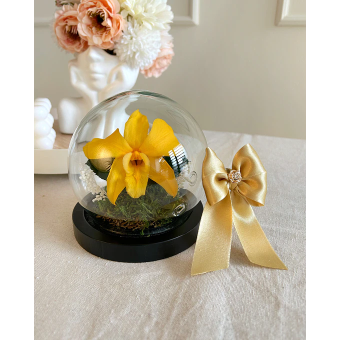 Burbuja de Cristal - Orquídea Preservada 1