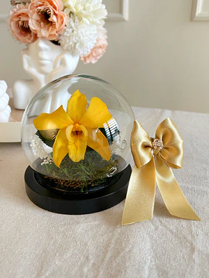 Burbuja de Cristal - Orquídea Preservada