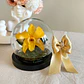 Burbuja de Cristal - Orquídea Preservada - Miniatura 1