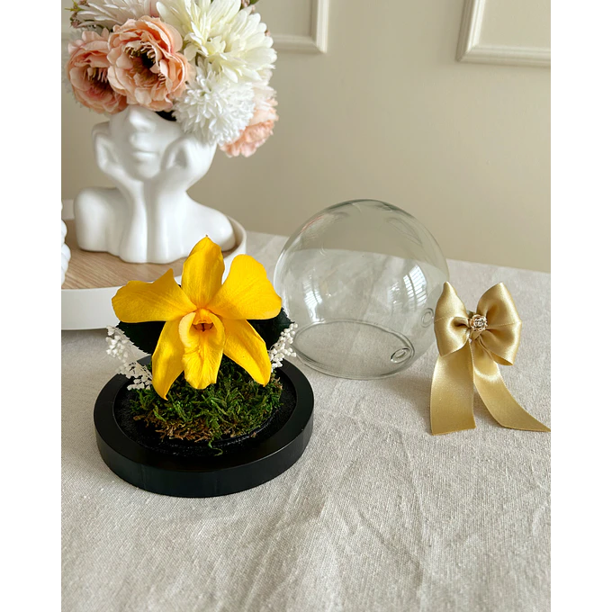 Burbuja de Cristal - Orquídea Preservada 2