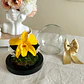 Burbuja de Cristal - Orquídea Preservada - Miniatura 2